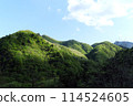 Mountains wrapped in fresh green 114524605