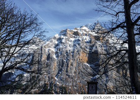Majestic mountain peak in the Swiss Alps, likely near Murren ski resort. Snow covered, rugged terrain with bare trees in foreground. Sunny day with a clock adding a human touch. 114524611