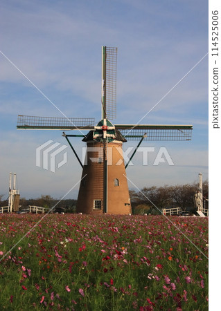 Scenery with a windmill [At Sakura Furusato Square, Sakura City, Chiba Prefecture] 114525006