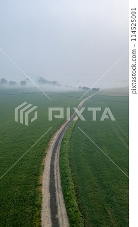 Misty Morning on a Rural Path: Aerial View of a Country Road Misty Morning on a Rural Path: Aerial View of a Country Road 114525091