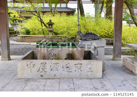 京都鬆尾大社龜之長總社(京都府京都市西京區) 京都鬆尾大社龜之長總社(京都府京都市西京區) 114525145