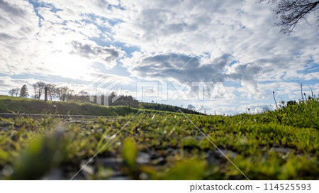 Low Angle View of Hautes Fagnes Landscape with Dramatic Sky 114525593
