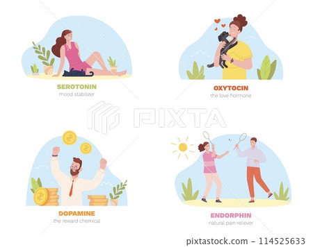 Mood hormones. Happy emotion chemicals hormone, dopamine endorphin serotonin oxytocin relieved pain, brain reward change mental physiology reaction psychology vector illustration 114525633