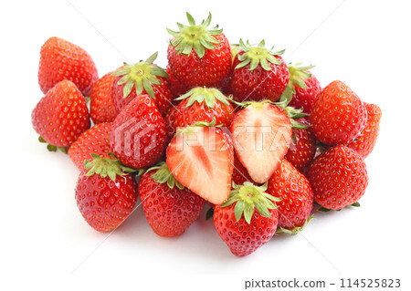 Ichigo(Tocho Tome) Ichigo(Tocho Tome) 114525823