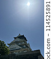 Castle tower illuminated by the sun 114525891