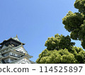A castle surrounded by fresh greenery 114525897