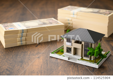 微型房子和一大筆錢 114525904