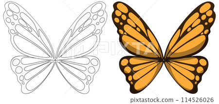 Colorful Butterfly Vector Illustration 114526026