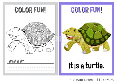 Color Fun! Educational Turtle Illustration Color Fun! Educational Turtle Illustration 114526079