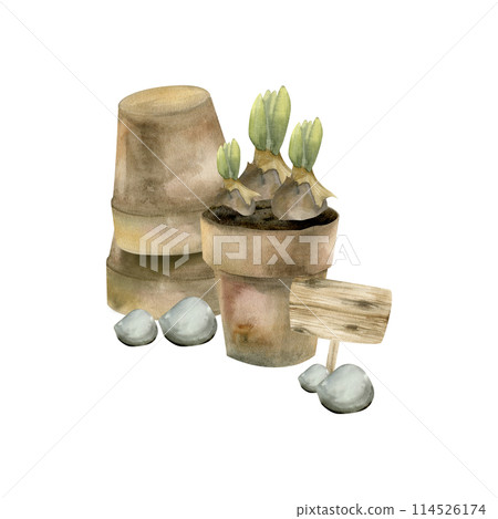 Flower brown pot with spring bulbs, wooden realistic sign for garden and stones watercolor illustration. Gardening rural composition, farm style for label, logo, packing design. Floral natural colours Flower brown pot with spring bulbs, wooden realistic sign for garden and stones watercolor illustration. Gardening rural composition, farm style for label, logo, packing design. Floral natural colours 114526174