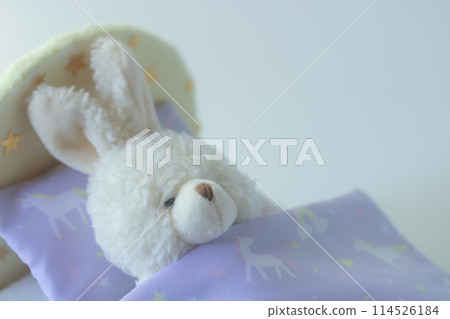 就寢時間:您的睡眠品質如何? 就寢時間:您的睡眠品質如何? 114526184