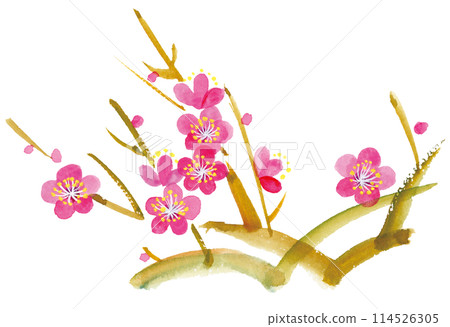 水彩手繪插畫紅梅花枝 水彩手繪插畫紅梅花枝 114526305