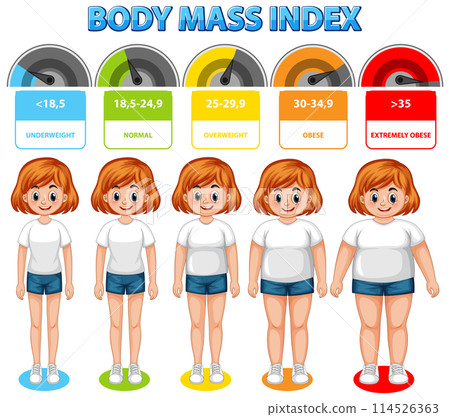 Body Mass Index Chart Illustration 114526363