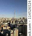 Sky tree and townscape 114526524