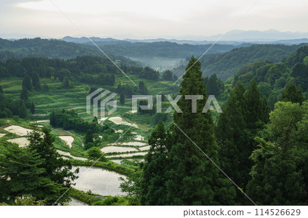 新潟星峠梯田 新潟星峠梯田 114526629