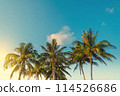 Tropical beach in Thailand. Palm trees on sandy island in the ocean. 114526686