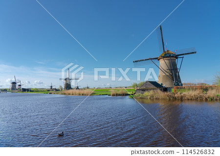 荷蘭 Kinderdijk-Elshout 的風車網絡 114526832