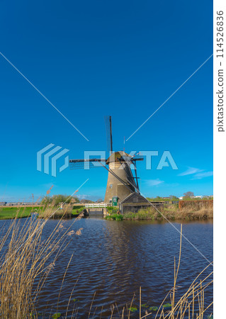 荷蘭 Kinderdijk-Elshout 的風車網絡 荷蘭 Kinderdijk-Elshout 的風車網絡 114526836