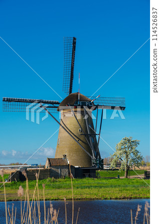 荷蘭 Kinderdijk-Elshout 的風車網絡 114526837