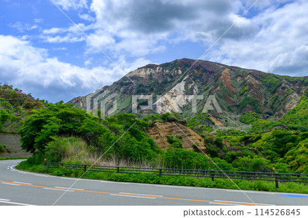 The Aso foothills and Miyamakirishi flowers shining with fresh greenery as seen from the Aso Panorama Line (the road to the Aso crater) 114526845