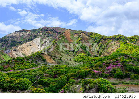 從阿蘇全景線看到的阿蘇山麓(烏帽岳)和宮山霧島(通往阿蘇火山口的道路)在新綠中熠熠生輝。 從阿蘇全景線看到的阿蘇山麓(烏帽岳)和宮山霧島(通往阿蘇火山口的道路)在新綠中熠熠生輝。 114526939