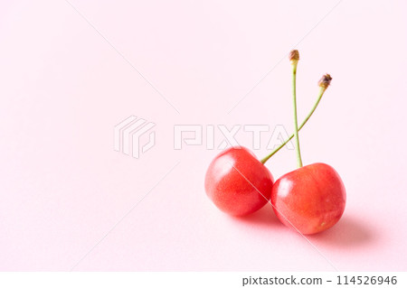 Two Sato Nishiki cherries from Yamagata Prefecture 114526946
