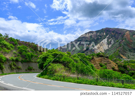 從阿蘇全景線(通往阿蘇火山口的道路)看到的阿蘇山麓風景映照在新綠色之中 從阿蘇全景線(通往阿蘇火山口的道路)看到的阿蘇山麓風景映照在新綠色之中 114527057