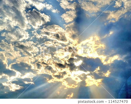 Divine descent Divine descent 114527470