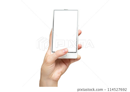 Mockup of female hand holding modern frameless cell phone with white screen isolated at white background. 114527692