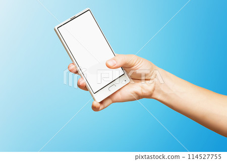 Female hands holding modern mobile phone 114527755