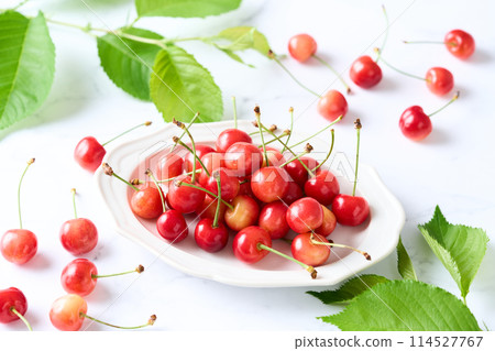 Cherries on a plate (Sato Nishiki from Yamagata Prefecture) 114527767