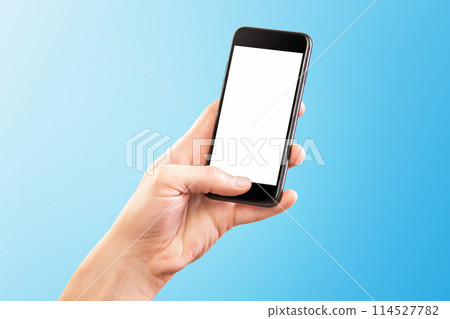 Female hands holding modern mobile phone 114527782