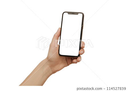 Female hands holding modern mobile phone 114527839