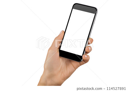 Female hands holding modern mobile phone 114527891