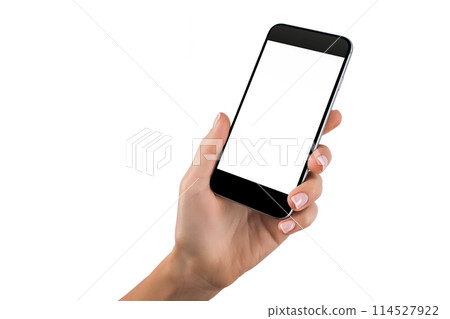 Female hands holding modern mobile phone 114527922