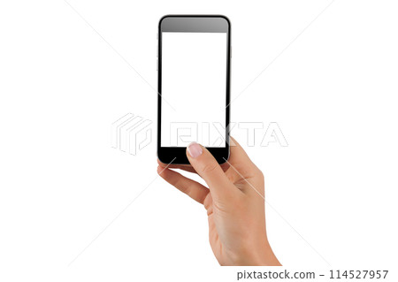Female hands holding modern mobile phone 114527957