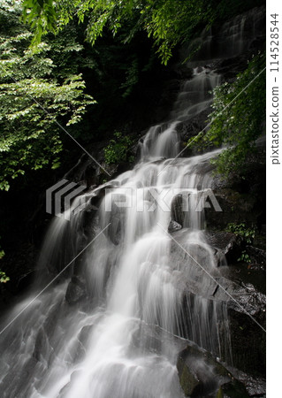 Goraiko Falls in Inai, Toon City, Ehime Prefecture Goraiko Falls in Inai, Toon City, Ehime Prefecture 114528544