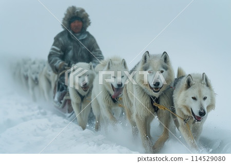 Frozen journey, person with sled of dogs traverses snowy antarctica, an epic adventure through icy landscapes with loyal canine companions, exploring the remote and pristine wildernes Frozen journey, person with sled of dogs traverses snowy antarctica, an epic adventure through icy landscapes with loyal canine companions, exploring the remote and pristine wildernes 114529080