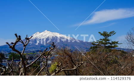 Mount Iwaki as seen from Fujita Memorial Garden, Aomori Prefecture 114529376