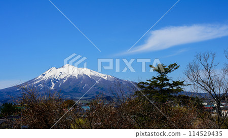 Mount Iwaki as seen from Fujita Memorial Garden, Aomori Prefecture 114529435
