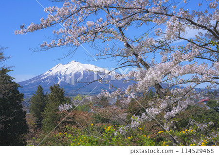 從青森縣藤田紀念庭園眺望岩木山和櫻花 114529468