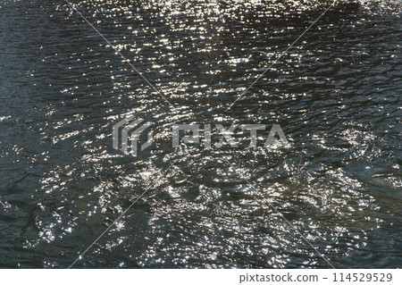 Sparkling water Sparkling water 114529529