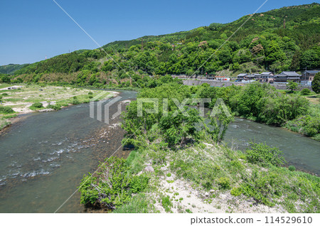 Fresh greenery on the Kizugawa River in Kasagi Town, Kyoto Prefecture 114529610