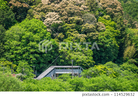 JR West Kansai Line Kasagi Station amidst fresh greenery 114529632