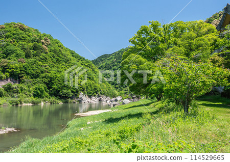 Fresh greenery on the Kizugawa River in Kasagi Town, Kyoto Prefecture Fresh greenery on the Kizugawa River in Kasagi Town, Kyoto Prefecture 114529665