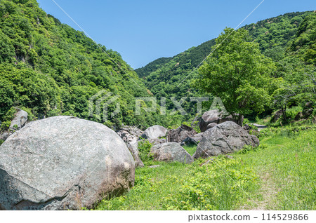 京都府笠置町笠置巨石的新綠木津川風景 114529866