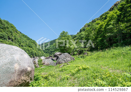 京都府笠置町笠置巨石的新綠木津川風景 京都府笠置町笠置巨石的新綠木津川風景 114529867