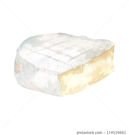 Cheese camamber brie. Hand drawn watercolor illustration isolated on white background. side view. For restaurant menu, cafe, design, recipe, book 114529881