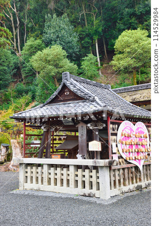 京都鬆尾大社相生之松（京都府京都市西京區） 114529984