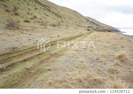 A walking path with nothing but dead grass A walking path with nothing but dead grass 114530712